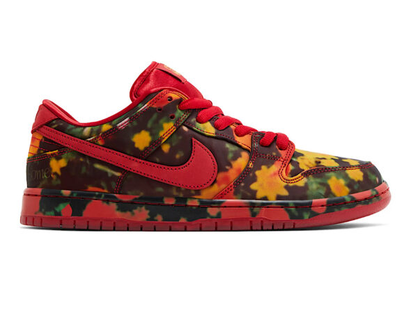 Nike SB Dunk Low The Wizard of Oz Poppy Field